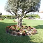 Quinta Dos Brazilaves - Apartamento