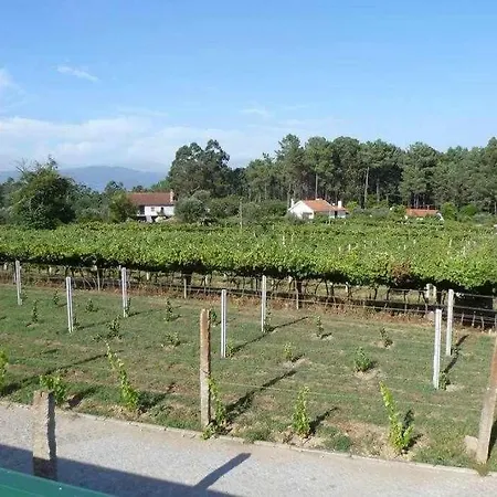 Apartment Quinta Dos Brazilaves -