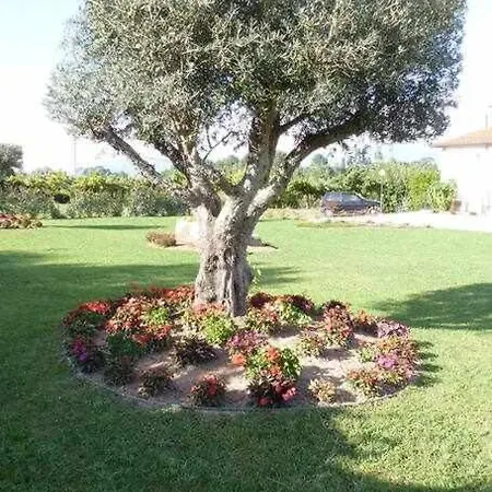 Quinta Dos Brazilaves - Apartamento
